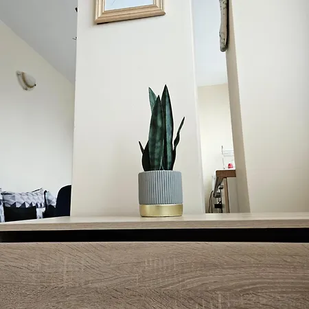 Rosica Appartement *